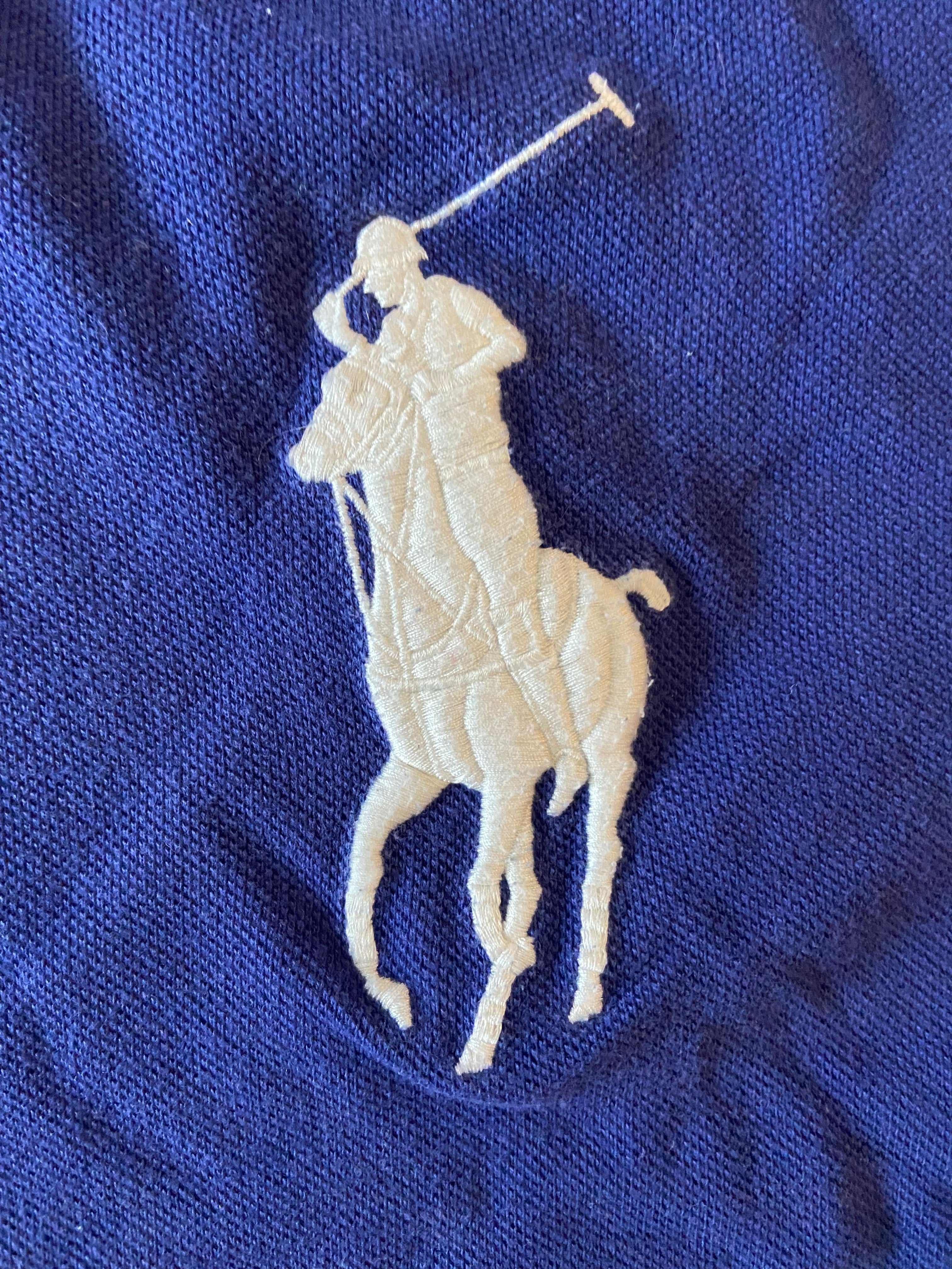 Ralthtph Lauthtren Polo Brazil
