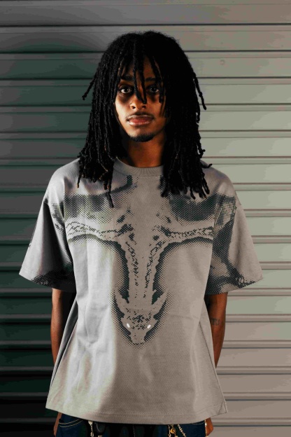 “Dragon” T-Shirt (Grey)