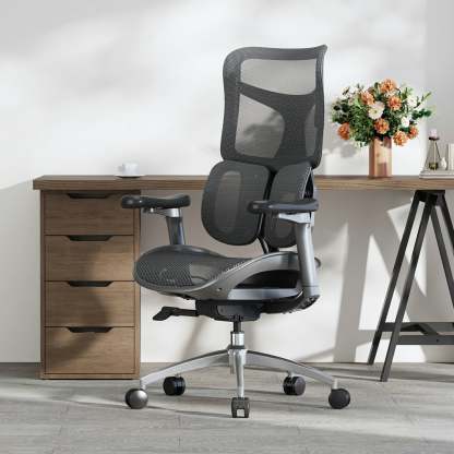 S100 Ergonomic Office Chair with Double Dynamic Lumbar Support