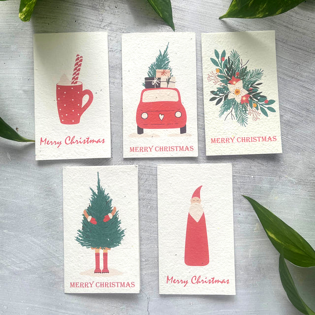 🎄Buy 5 Get 5 Free Today🌱 Christmas Plantable Seed Cards