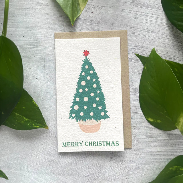 Last Day Up To 80% OFF🌱 Plantable Christmas Cards🌼Send blessings and plant a hope