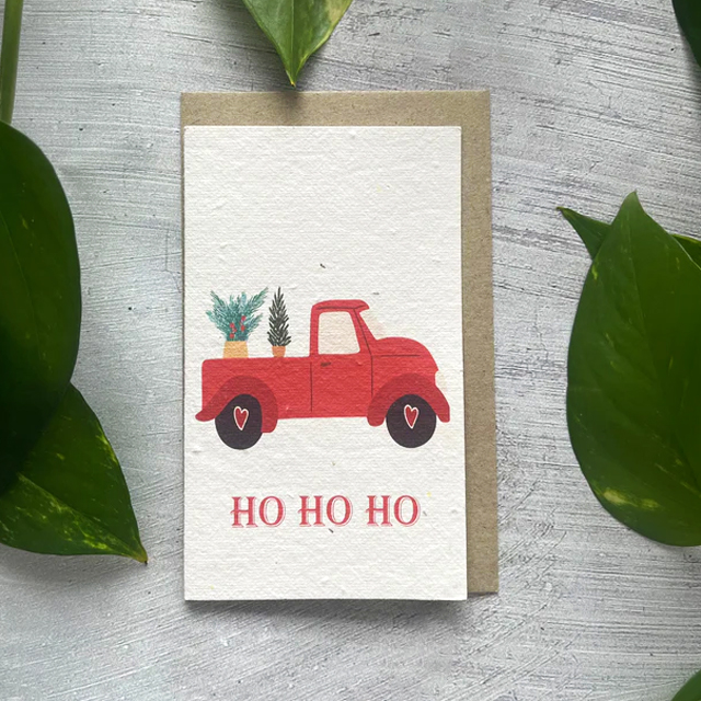 Last Day Up To 80% OFF🌱 Plantable Christmas Cards🌼Send blessings and plant a hope