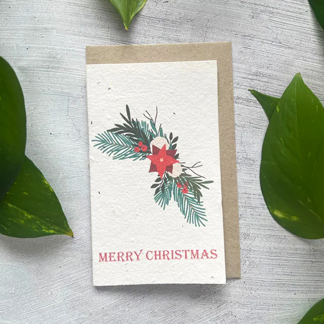 🎄Buy 5 Get 5 Free Today🌱 Christmas Plantable Seed Cards