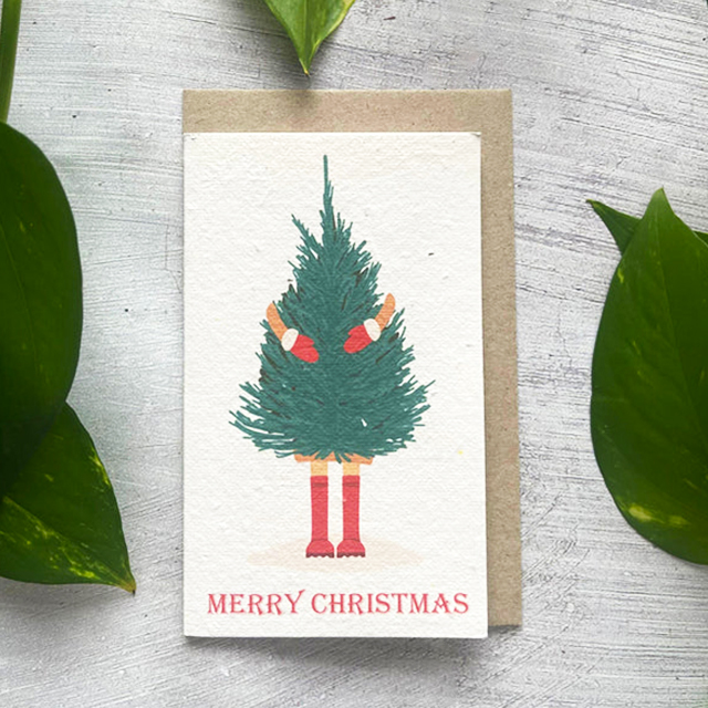 Last Day Up To 80% OFF🌱 Plantable Christmas Cards🌼Send blessings and plant a hope