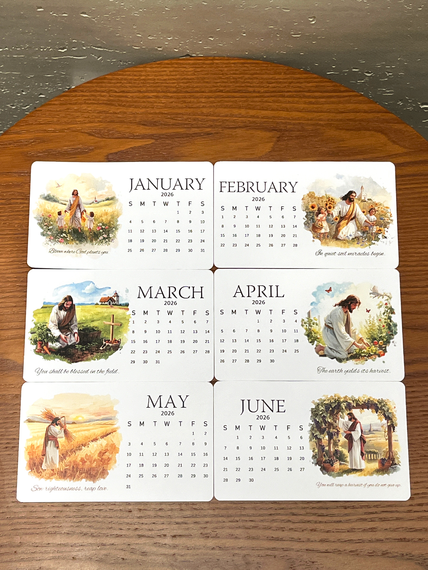 ✨Last Day 49% OFF ⏰ – 🌱Jesus-Inspired Plantable Seed Calendar 2026 – A Faithful Gift 🎁