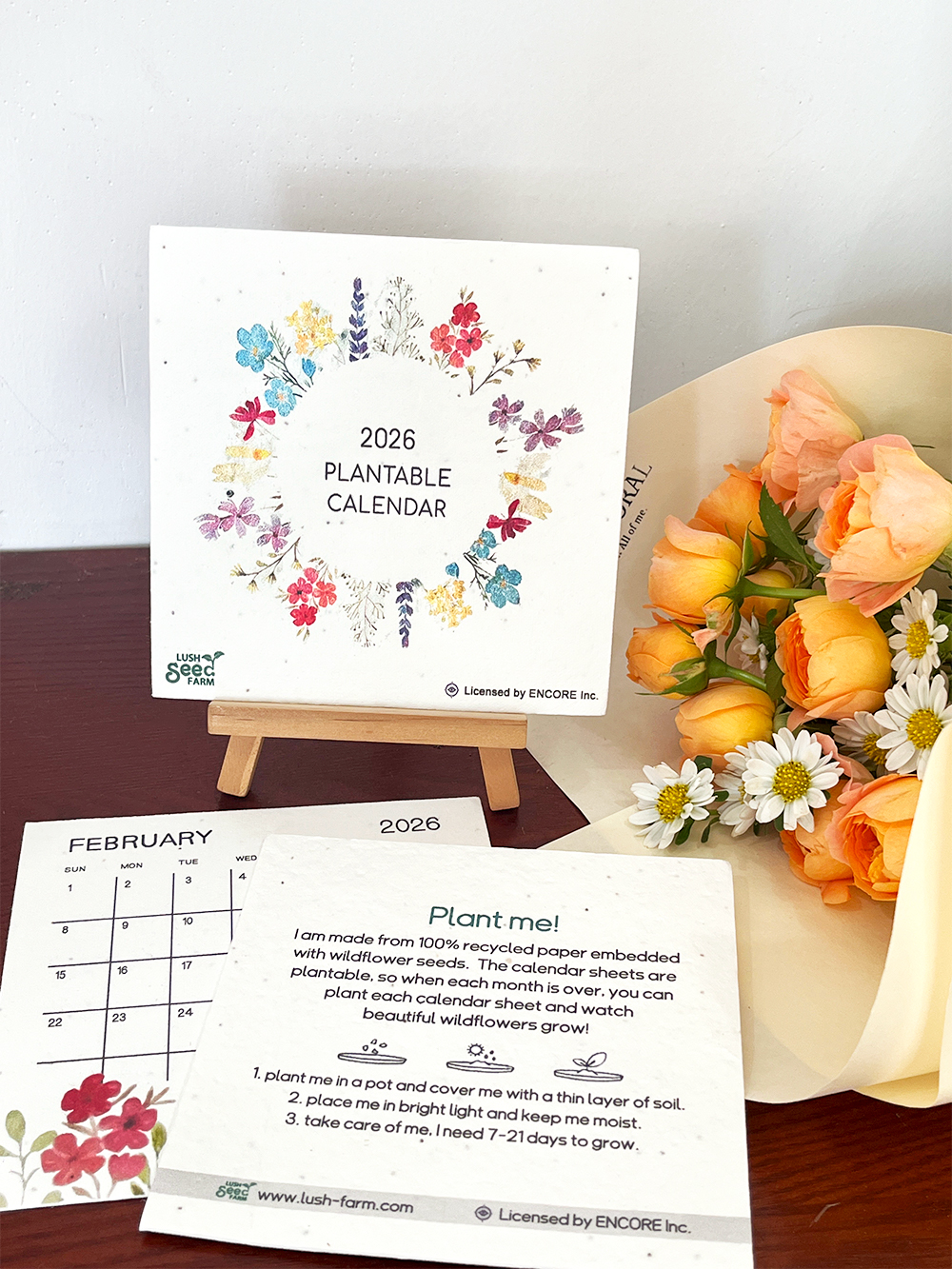 ✨Last Day 49% OFF ⏰ - 🌱Plantable Desk Calendar 2026 - Gift idea🎁