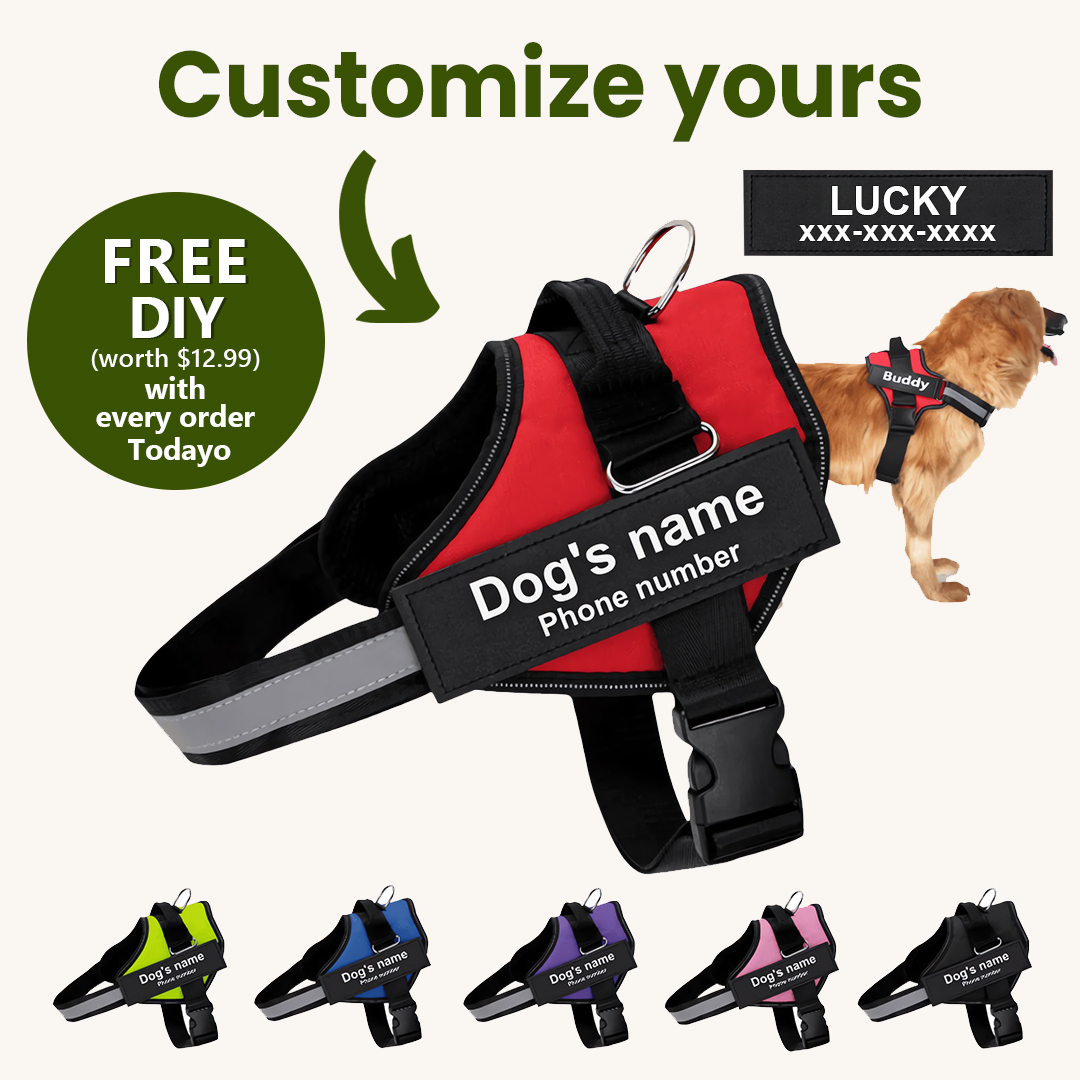 PawPilot™ No-Pull Dog Harness - Free for Personalized