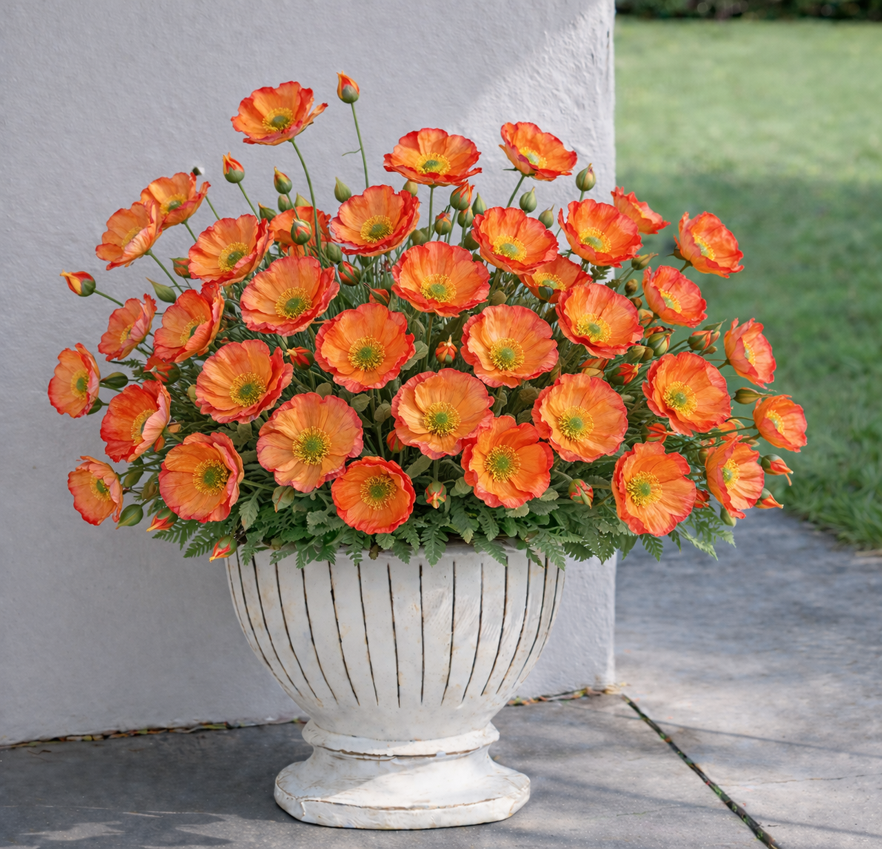 75% OFF 🔥 Delicate Faux Poppy Flowers — Light, Airy & Naturally Beautiful 🌸