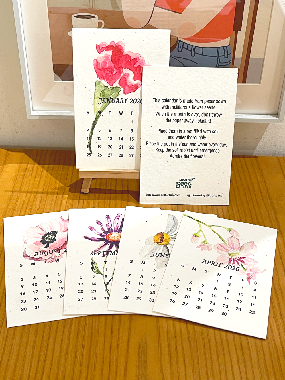 ✨New Arrivals 49% OFF Today🌱Eco-Friendly Plantable Seed Calendar 2026