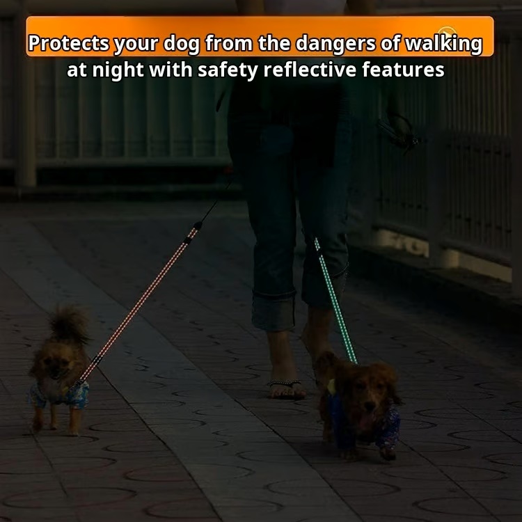 Dual Dog Leash with Tangle-Free swivel