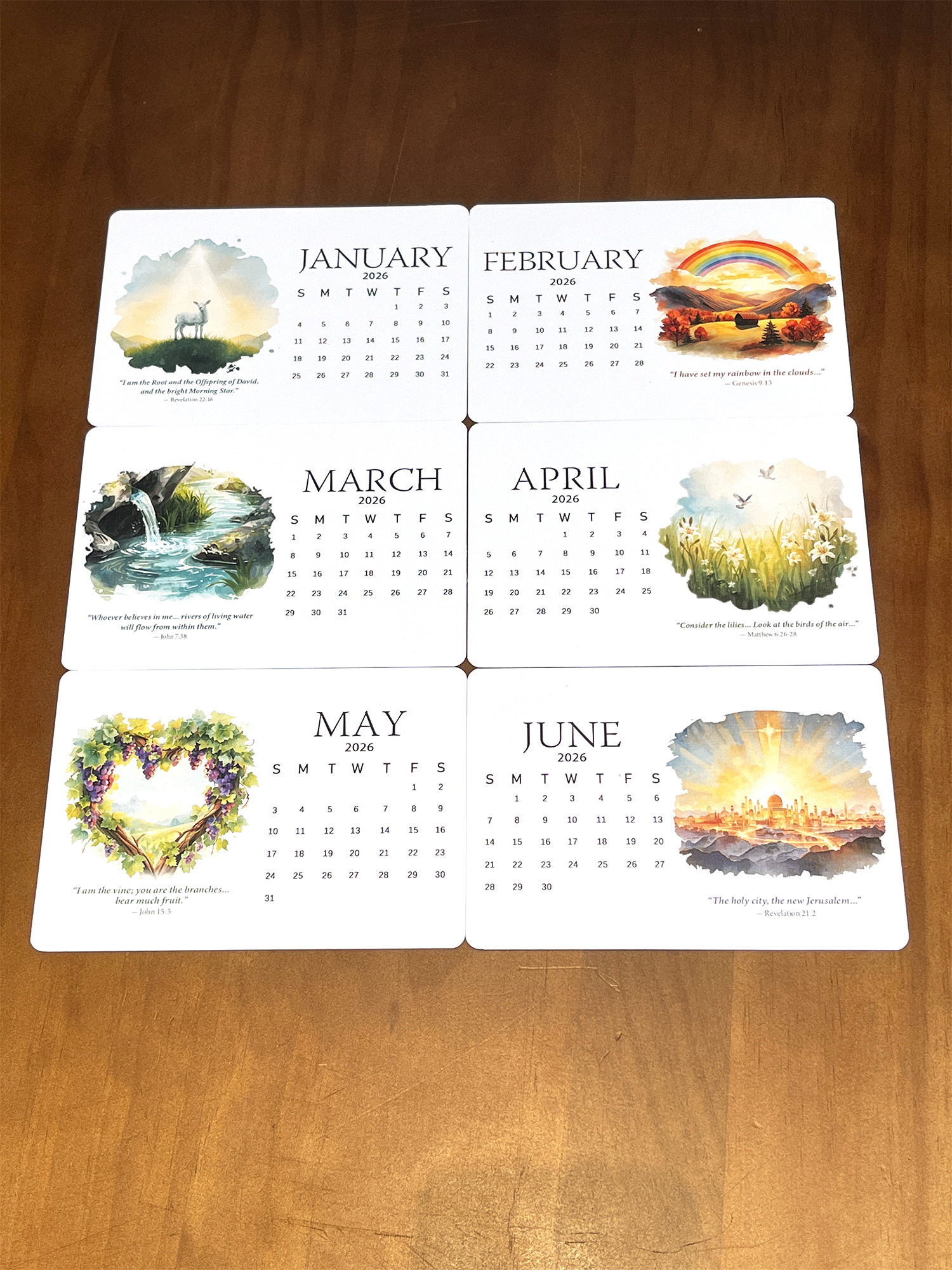 ✨Last Day 49% OFF ⏰ – 🌿Bible-Inspired Seed Calendar 2026 – Grow in Faith & Beauty 🌸