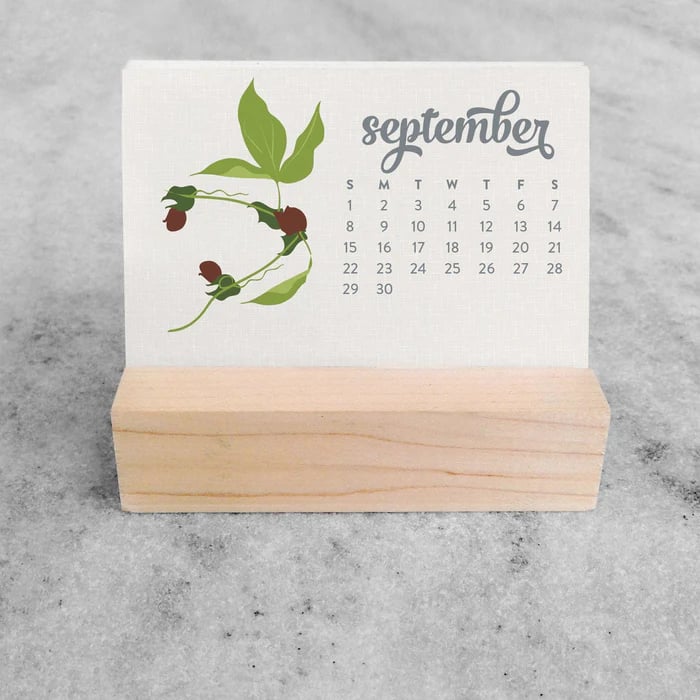 ✨Last Day 49% OFF⏰ - 🌱Plantable Seed Calendar 2025 - BUY 2 GET 1 FREE & FREE SHIPPING