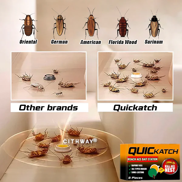 QUICKATCH ROACH ACE BAIT STATION