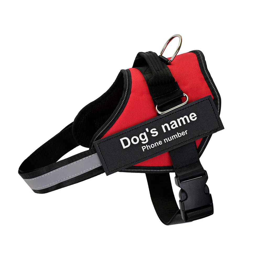 PawPilot™ No-Pull Dog Harness - Free for Personalized