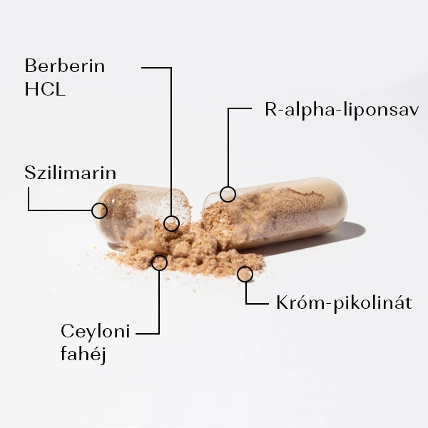 Glucoguard-B • Berberin kiegészítő a vércukorszint szabályozására