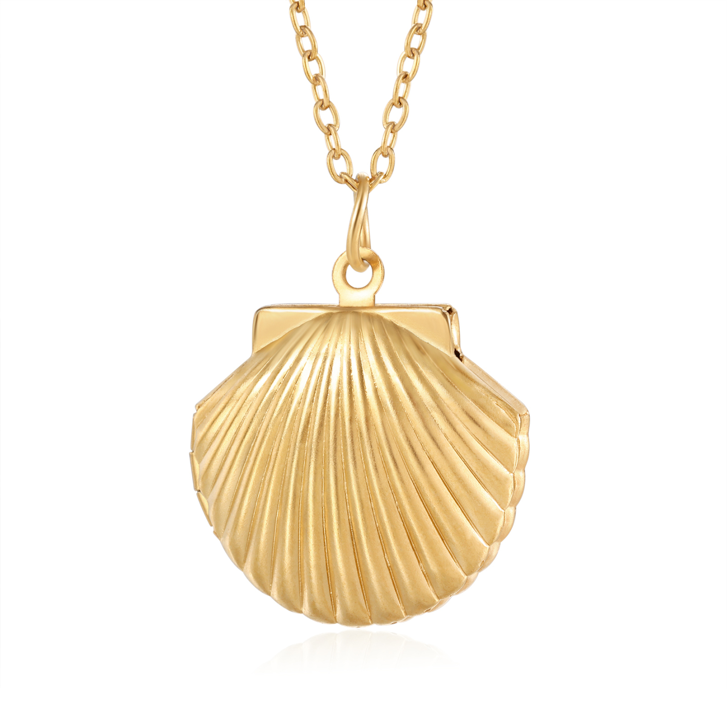 Personalised Women’s Seashell Locket Necklace – Customisable with 2 Photos, Available in Silver, Gold, and Rose Gold | Valentine’s Day Gift for Her | Jessemade