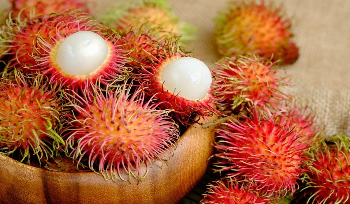 How to Grow Rambutan Fruit - MK Pets and Gardening