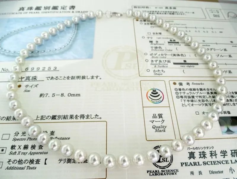🔥 Last Day Promotion 49% OFF+Gift Box (Free) 🎁 AAAA Pearl Necklace-POIULTD
