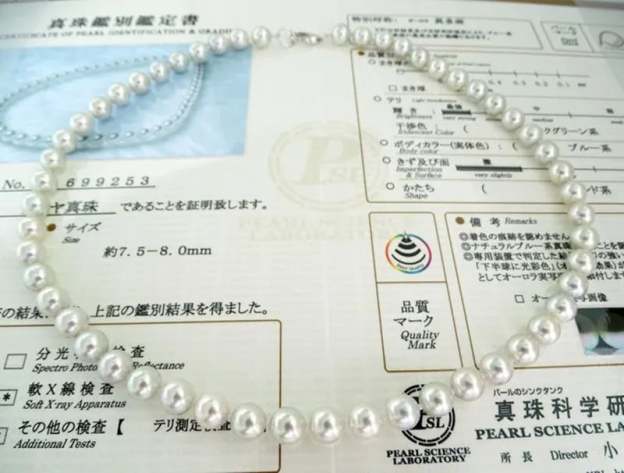 🔥 Last Day Promotion 49% OFF+Gift Box (Free) 🎁 AAAA Pearl Necklace-POIULTD