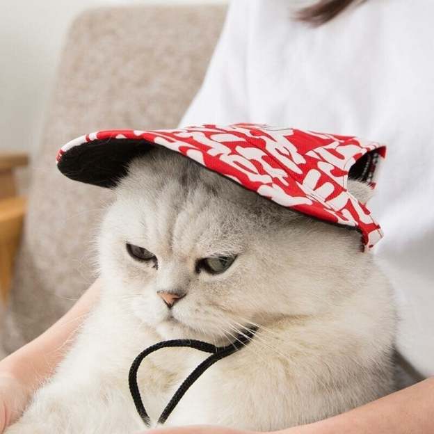 Creative Pet Hats-POIULTD