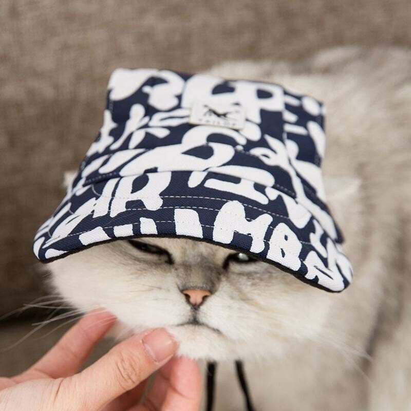 Creative Pet Hats-POIULTD