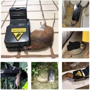Highly Sensitive Reusable Mouse Trap🎉6 Pcs🎉-POIULTD