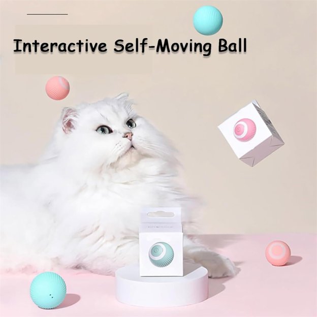 🎉Last Day 49% OFF😍✨2 in 1 Simulated Interactive hunting cat toy-POIULTD