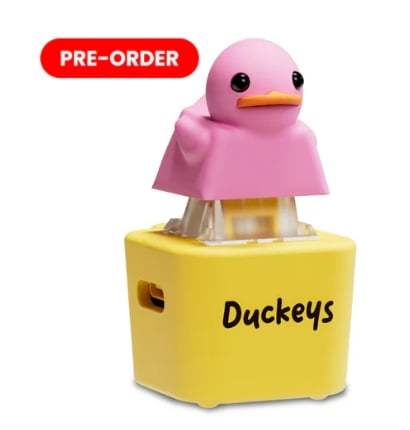 Fidget Toy that Quacks!