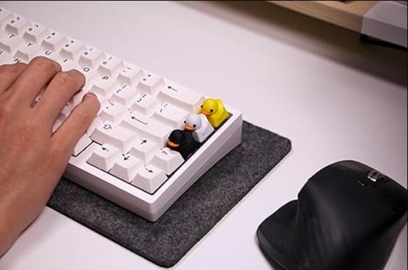 Fidget Toy that Quacks!
