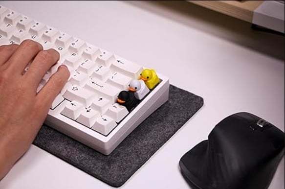 Fidget Toy that Quacks!
