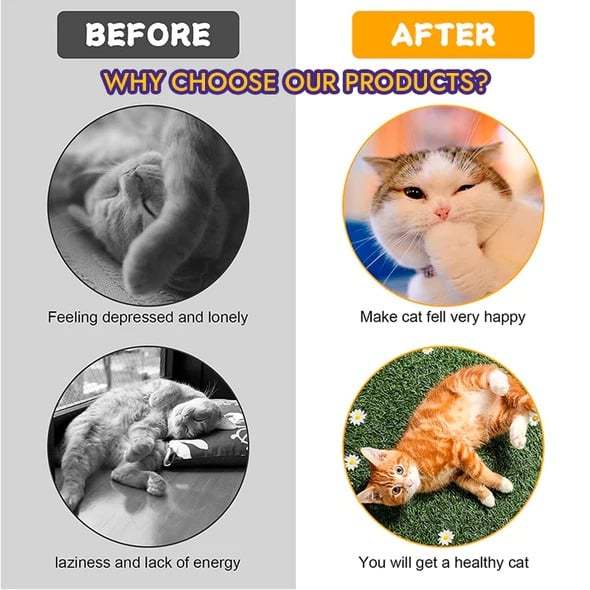 Hot Sale🐈Folded cat tunnel🔥Buy 2 Get 1 Free🔥-POIULTD