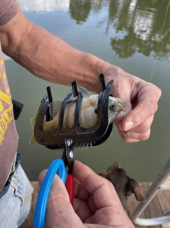 Fishing Pliers