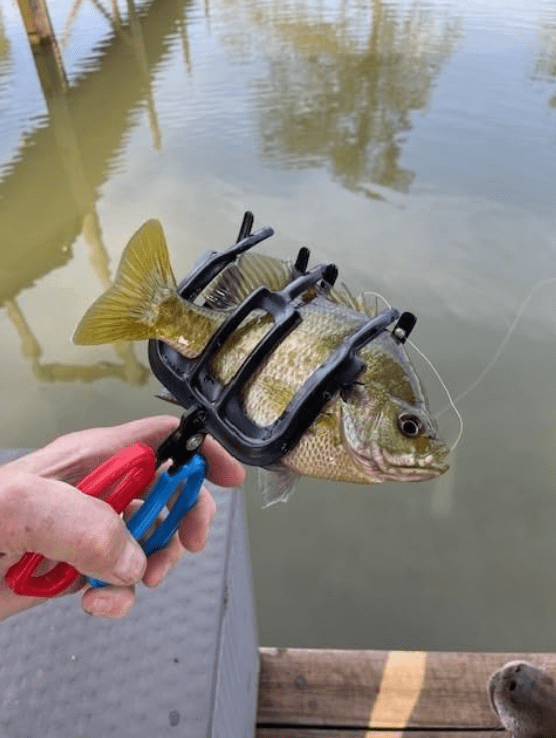 Fishing Pliers Gripper Metal Fish Control