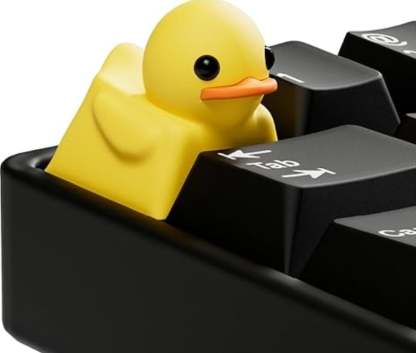 Fidget Toy that Quacks!