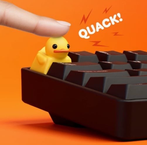 Fidget Toy that Quacks!