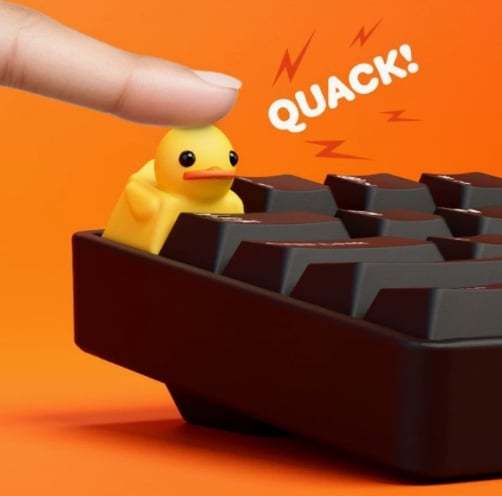 Fidget Toy that Quacks!