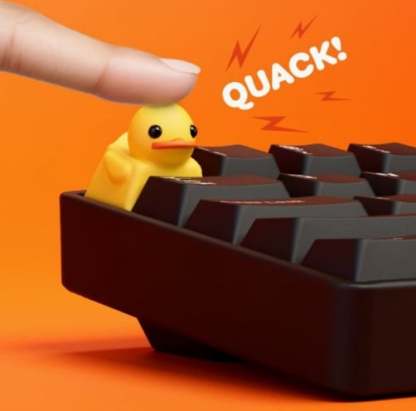Fidget Toy that Quacks!