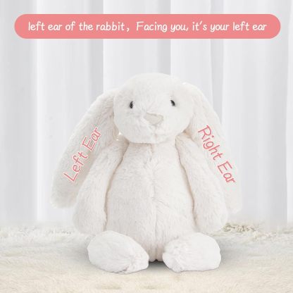 🔥Easter Sale🔥Personalized Easter Bunny with custom name! (11.8")-POIULTD