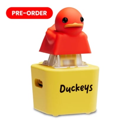 Fidget Toy that Quacks!