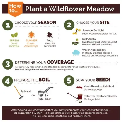 Country Garden Flower Mixed Seeds for Planting