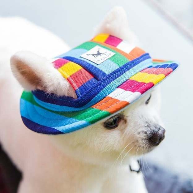 Creative Pet Hats-POIULTD