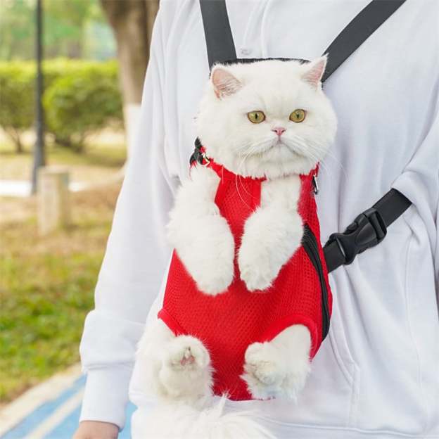 Pet Travel Leg-out Backpack🐶🐱-POIULTD
