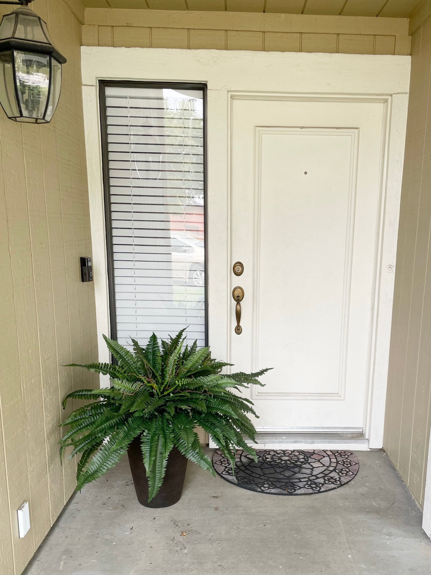 ☀️This Week's Special Price 💥UV Resistant Lifelike Artificial Boston Fern-POIULTD