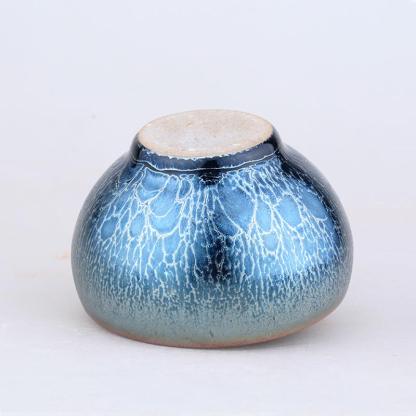 Tenmoku Jellyfish-POIULTD