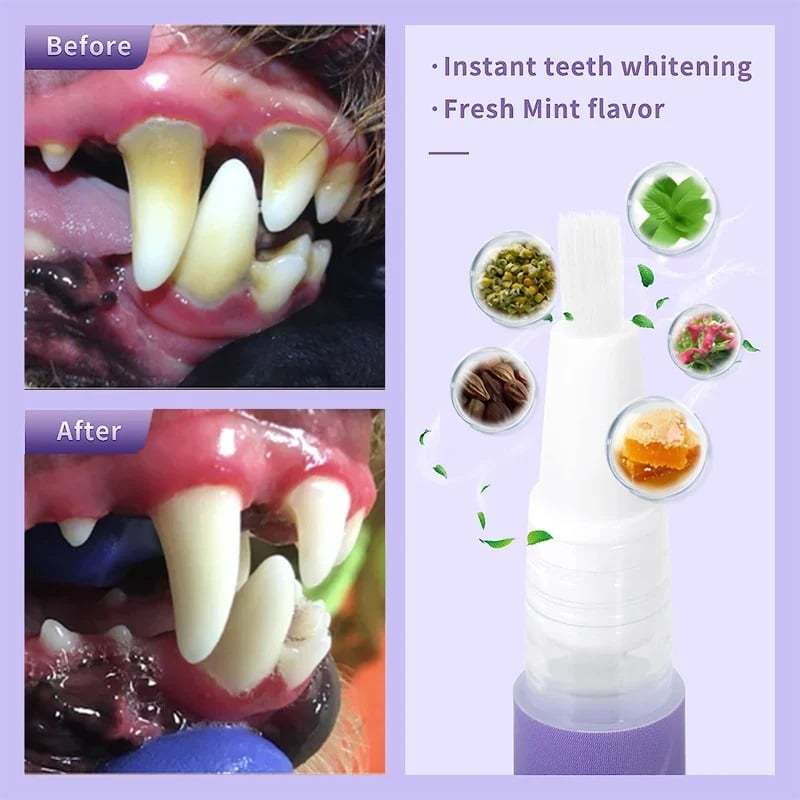 BUY 1 GET 1 FREE 🌈 Pet Oral Repair Gel