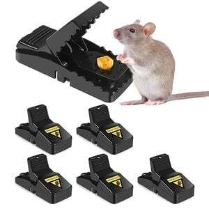 Highly Sensitive Reusable Mouse Trap🎉6 Pcs🎉-POIULTD