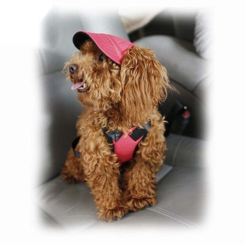 Creative Pet Hats-POIULTD