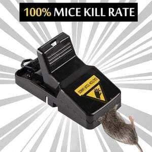 Highly Sensitive Reusable Mouse Trap🎉6 Pcs🎉-POIULTD