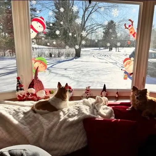 🔥Christmas Window Clings-POIULTD