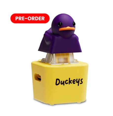 Fidget Toy that Quacks!